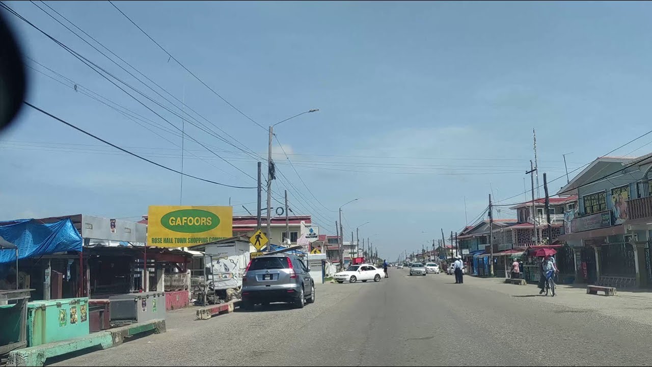 GUYANA: SWAMP VILLAGE, ROSEHALL, CORENTYNE, BERBICE