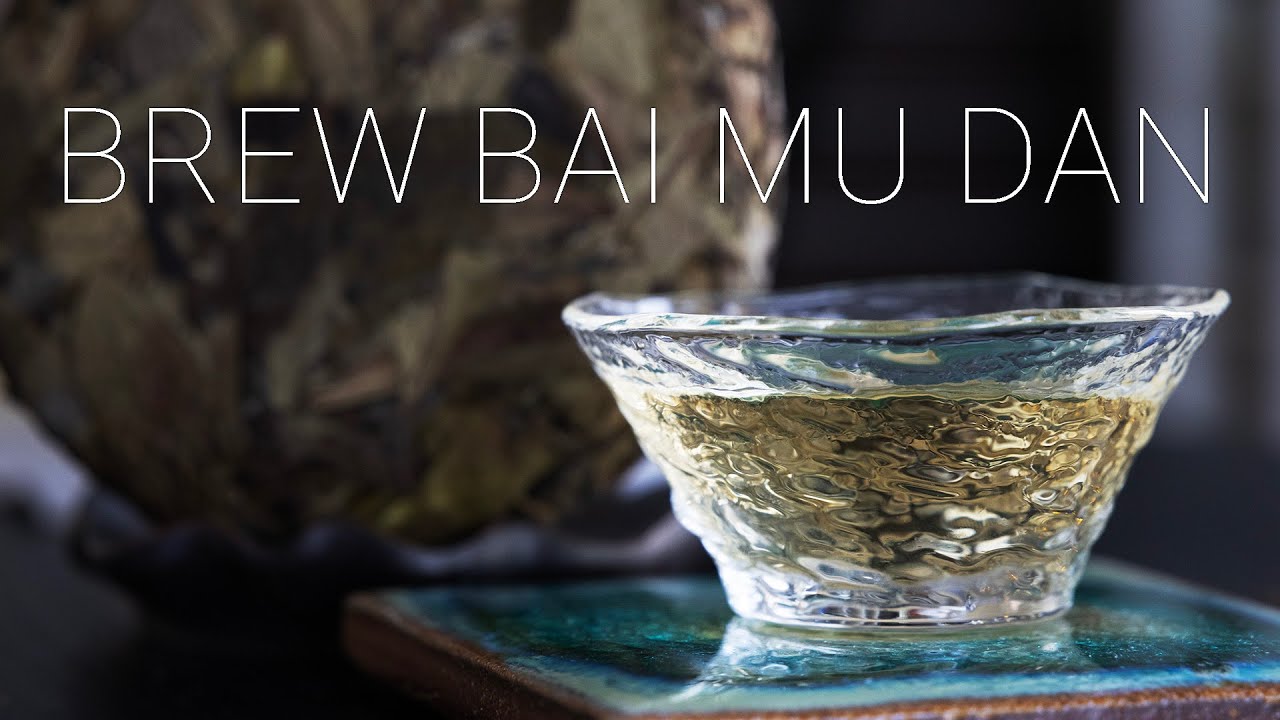 How to Make White Tea: Bai Mu Dan | Gongfu tea & Teapot