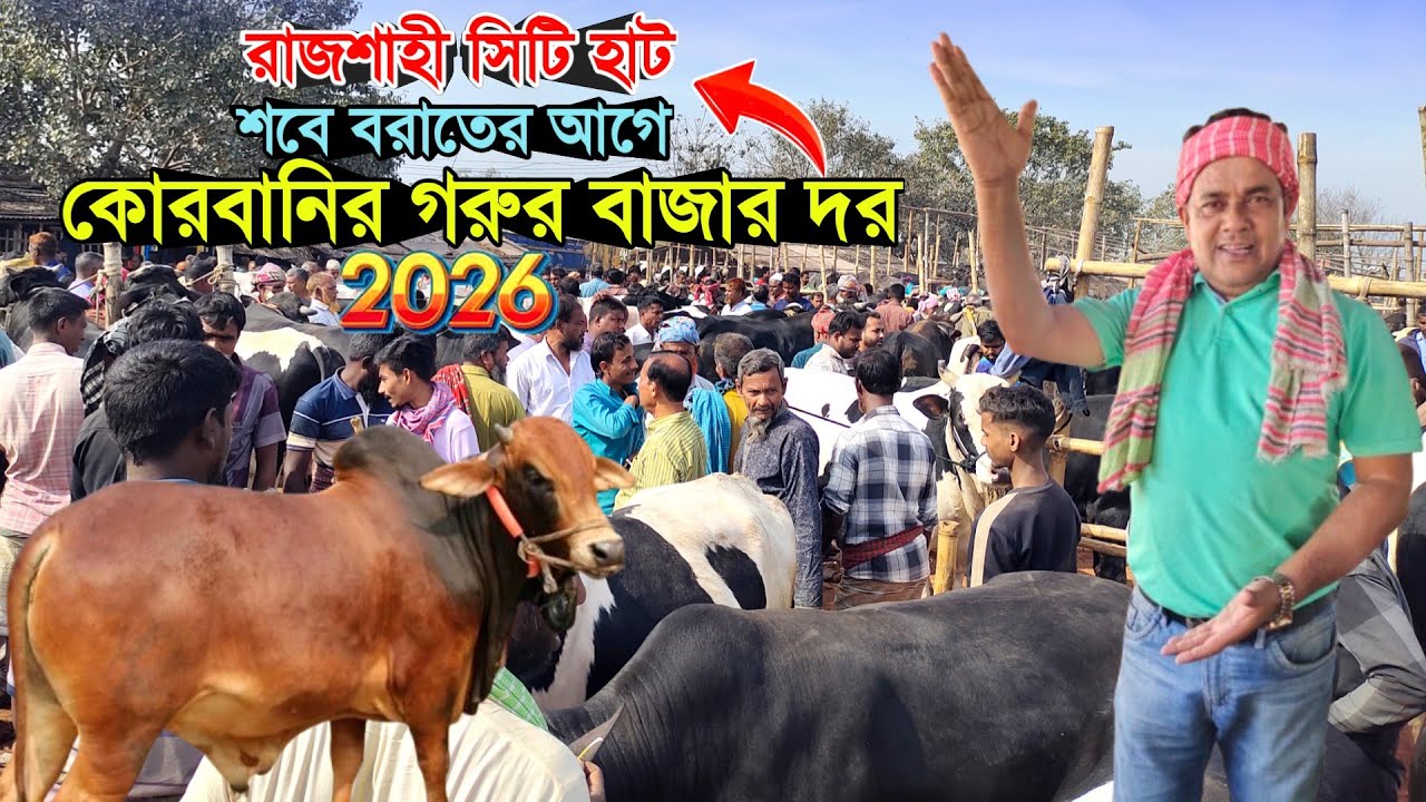 শবে বরাতের আগে 'রাজশাহী সিটি হাটে কোরবানির উপযোগী গরুর বাজার দর' Rajshahi city haat 2026