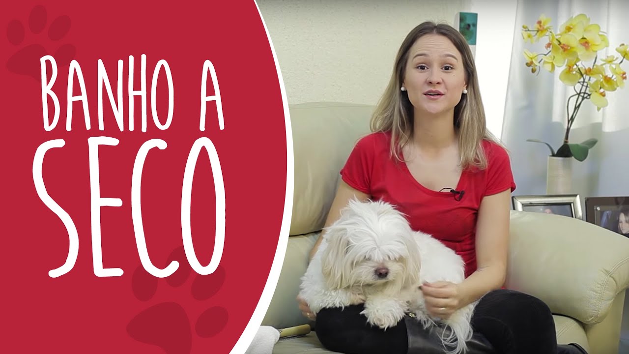 [AULA PRÁTICA] Banho a Seco no seu cachorro [Ju Almeida Pet]