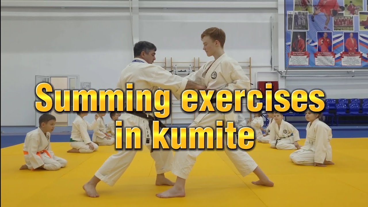 Подводящие упражнения кумитэ