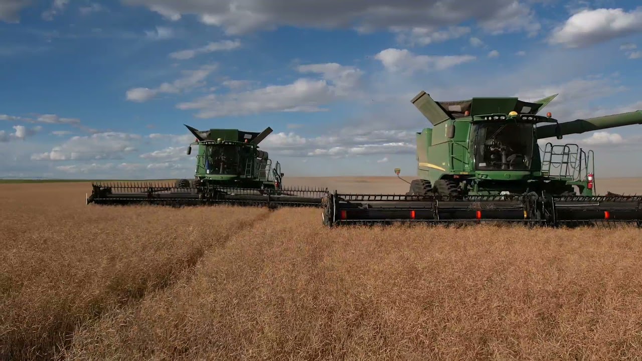 John Deere S680's Harvesting Canola 2021 | Clear Lake Colony | Alberta 🇨🇦