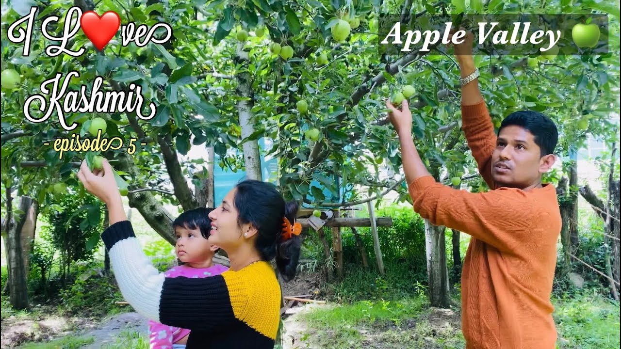 Kashmir Tour | Overview of Kashmiri Bungalow🏡 | Apple Valley 🍏 | Day 5