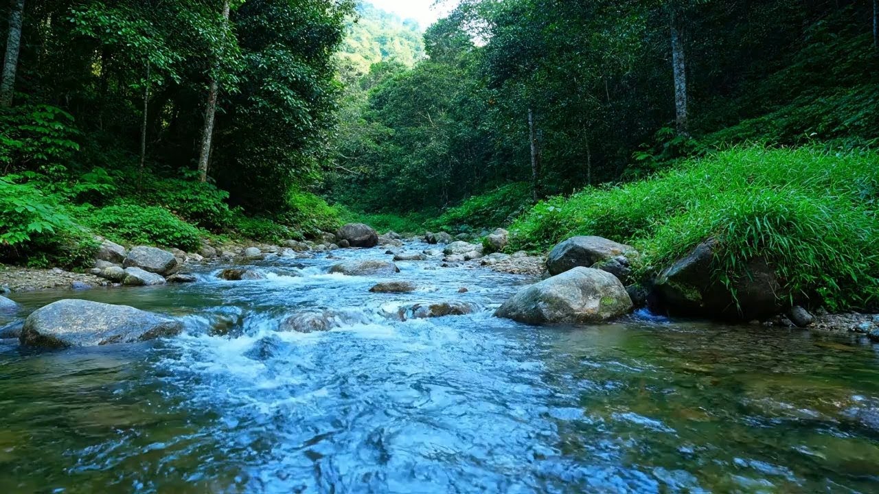 Total Peace – Beautiful Enchanted Water River Sound in Tropical Stream – Relax Body