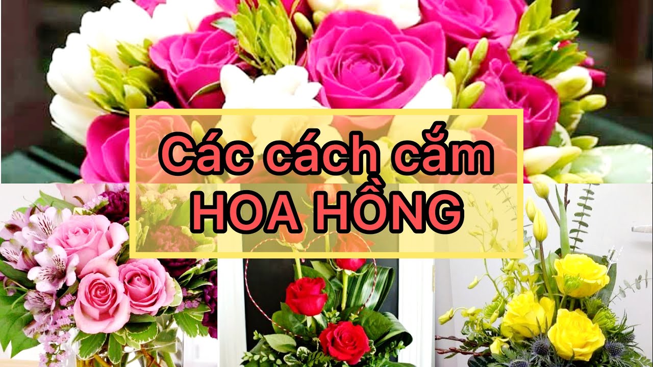 #20 CÁCH CẮM HOA HỒNG SAO CHO ĐẸP | TRANG TRÍ NHÀ CỬA