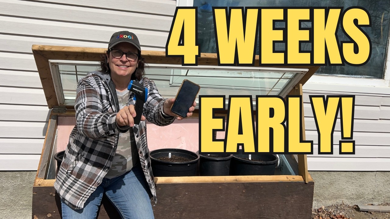Cold Frame Gardening For Short Season Gardeners