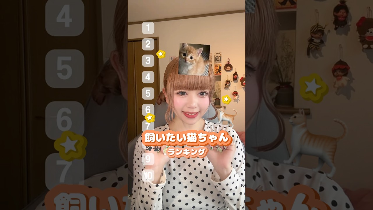 みんなの飼いたいねこちゃんは？🐈 #ランキング #猫