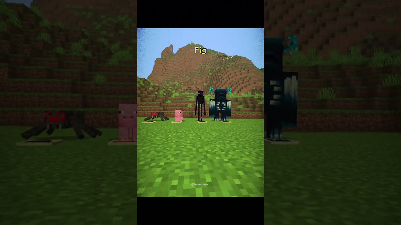 Minecraft Pov: Inside Mob Vision Moment