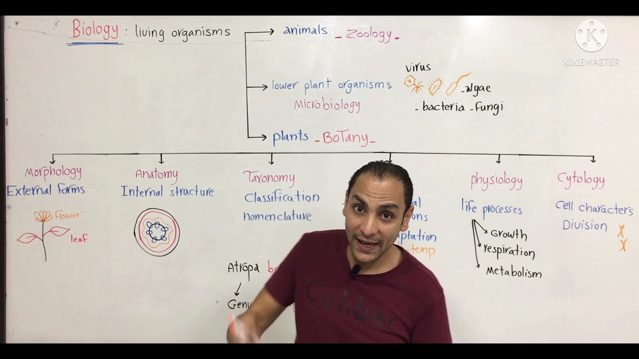 Botany clinical (1)