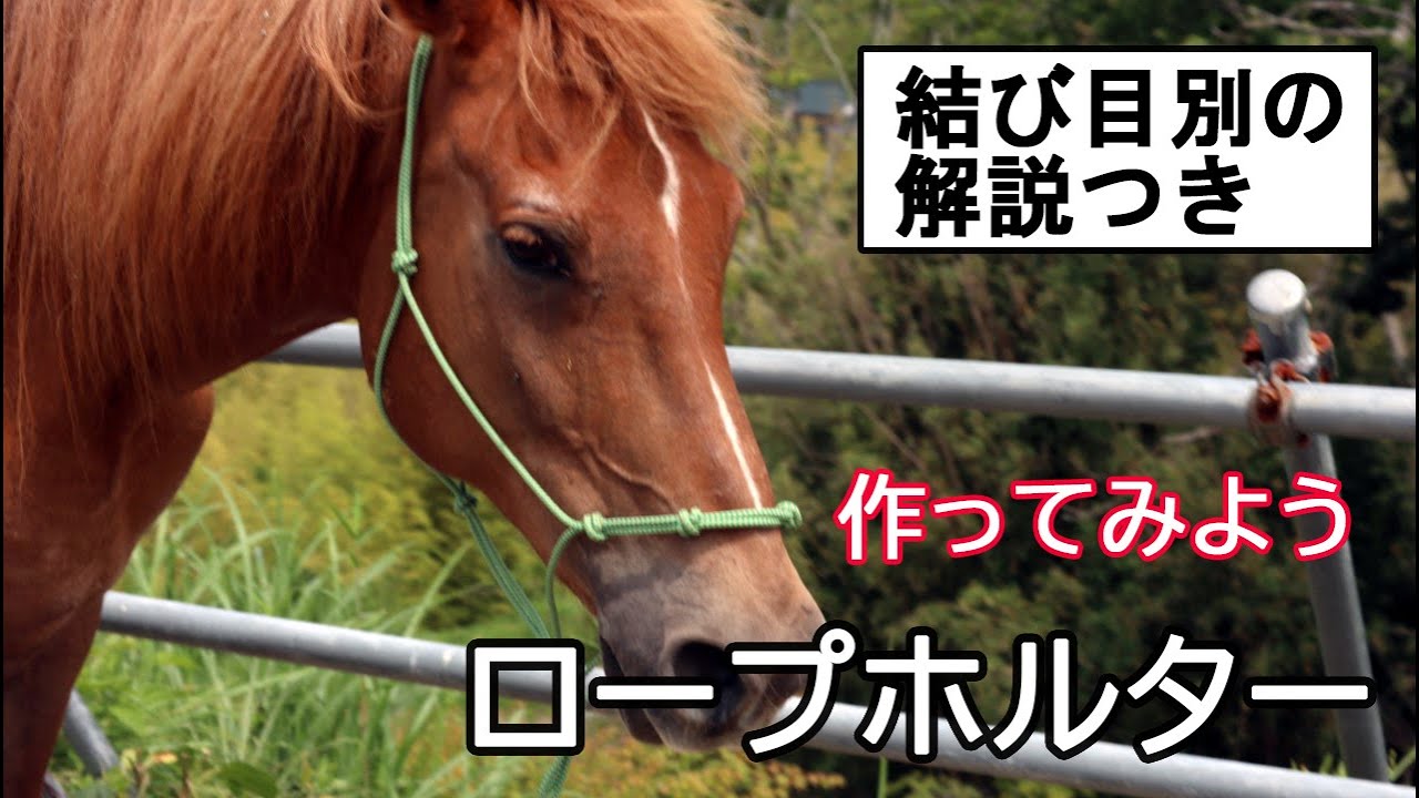 ロープホルターを作ってみよう