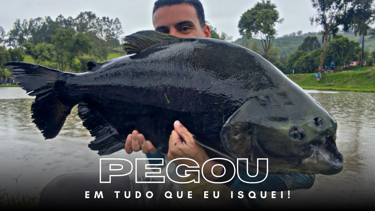 TUDO QUE EU TENTEI DEU CERTO! Pescaria