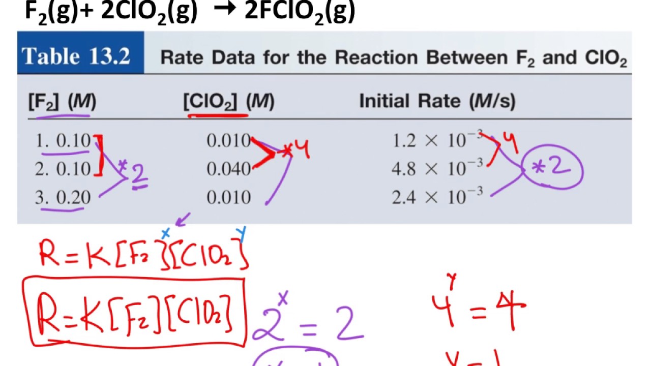 13.2 The Rate Law