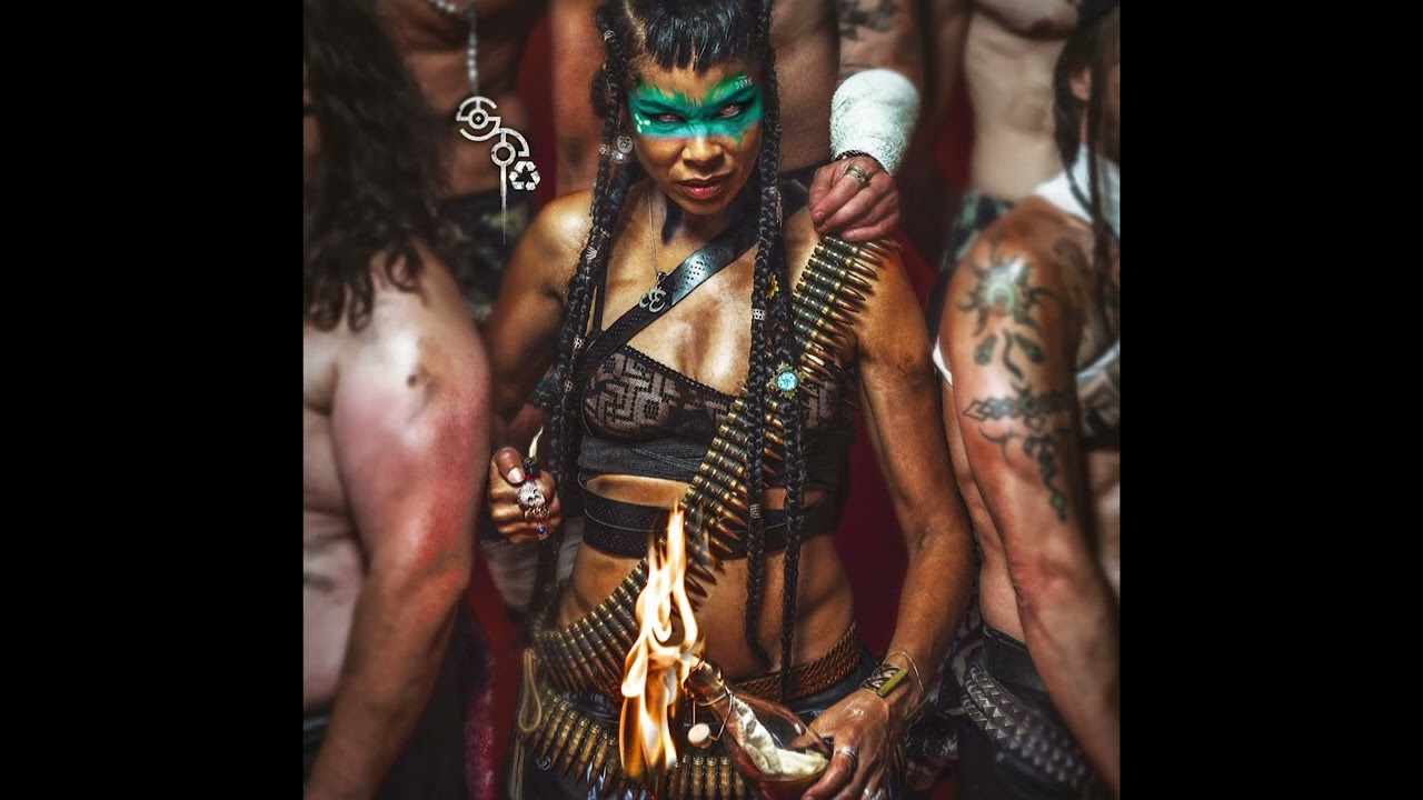 Shaka Ponk : We don't give a fuck [Audio officiel]