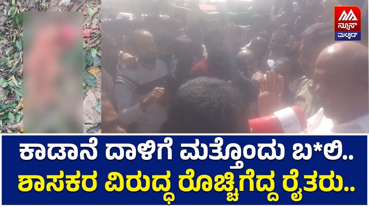 Chikkamagaluru | ಕಾಡಾನೆ ದಾಳಿಗೆ ಮತ್ತೊಂದು ಬ*ಲಿ.. ಶಾಸಕರ ವಿರುದ್ಧ ರೊಚ್ಚಿಗೆದ್ದ ರೈತರು.. | NEWS MALNAD