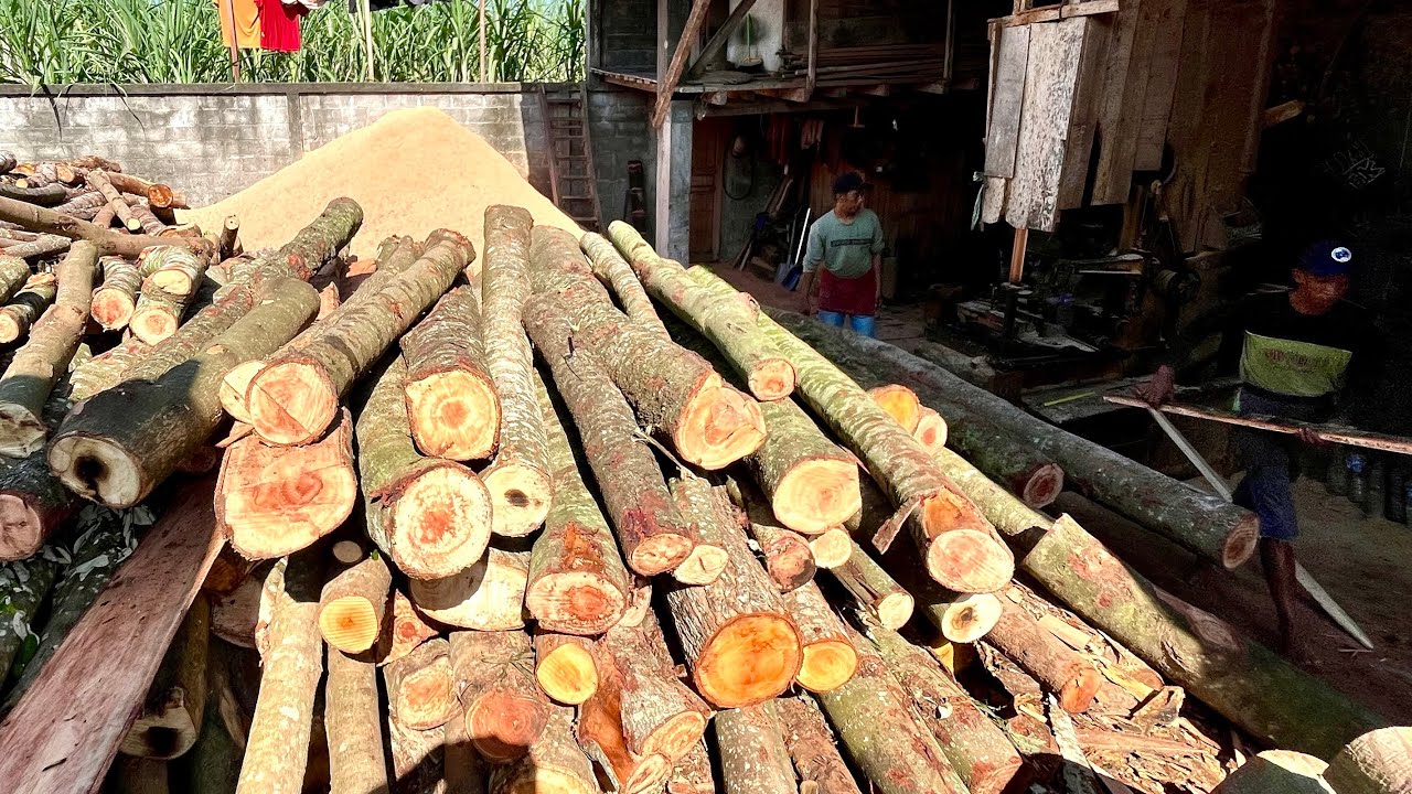 Double Luck!! The Trick of Sawing 2 Types of Wood Quickly Board Materials & House Roof Materials