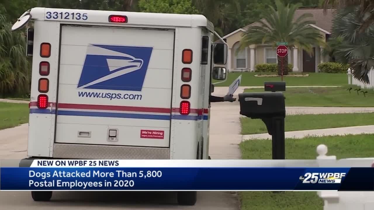 USPS Dog Bite Awareness