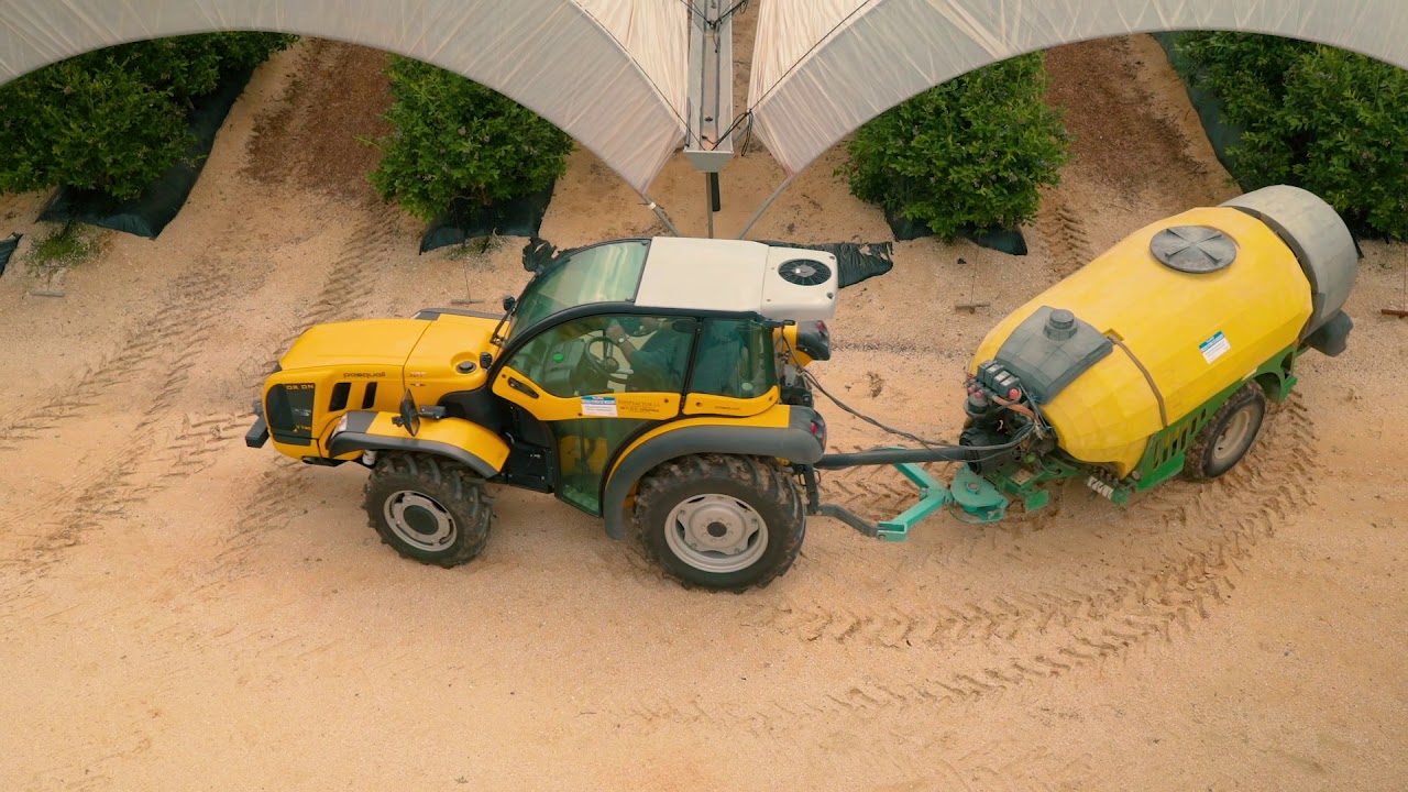 Pasquali Orion en el cultivo del arándano en los macrotúneles de Huelva