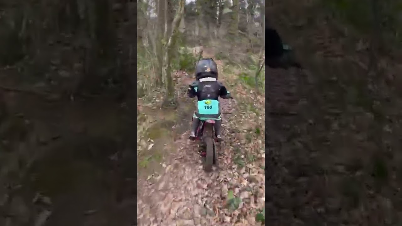 Oset 12.5R. 4 years old standing up riding through the trails in the woods