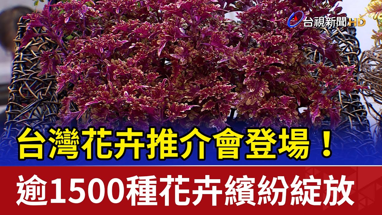 台灣花卉推介會登場！ 逾1500種花卉繽紛綻放