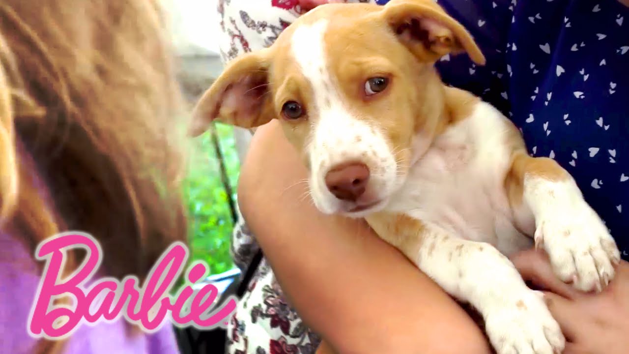It’s Puppies, Puppies, Puppies at Mattel! | Barbie & Her Sisters in a Puppy Chase | @Barbie