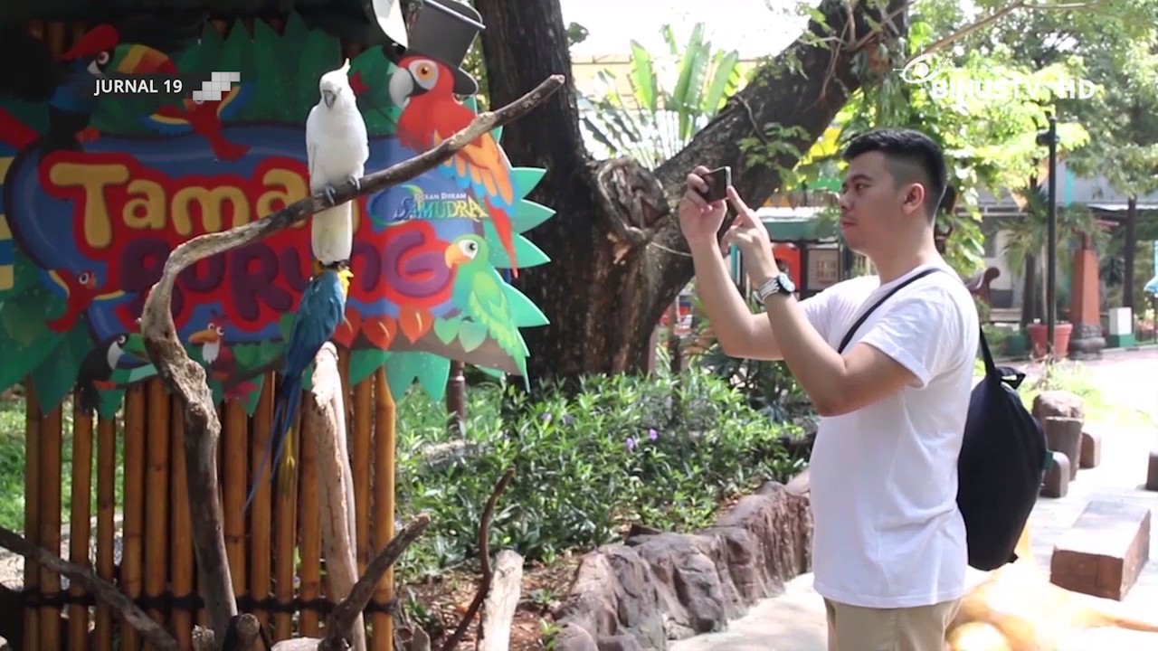 [Liputan] Gelanggang Samudra Ancol Jadi Pilihan Wisatawan