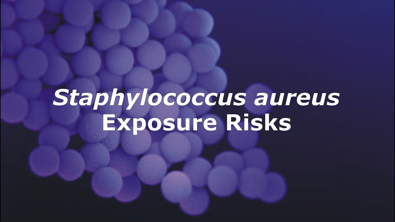 Staphylococcus aureus Exposure Risks