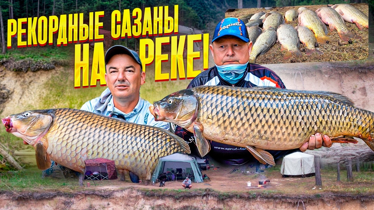 ДИКИЕ САЗАНЫ ПАРОВОЗЯТ НА РЕКЕ! Рыбалка с ночёвкой. Плов и хашлама в казане. Обновили все рекорды!