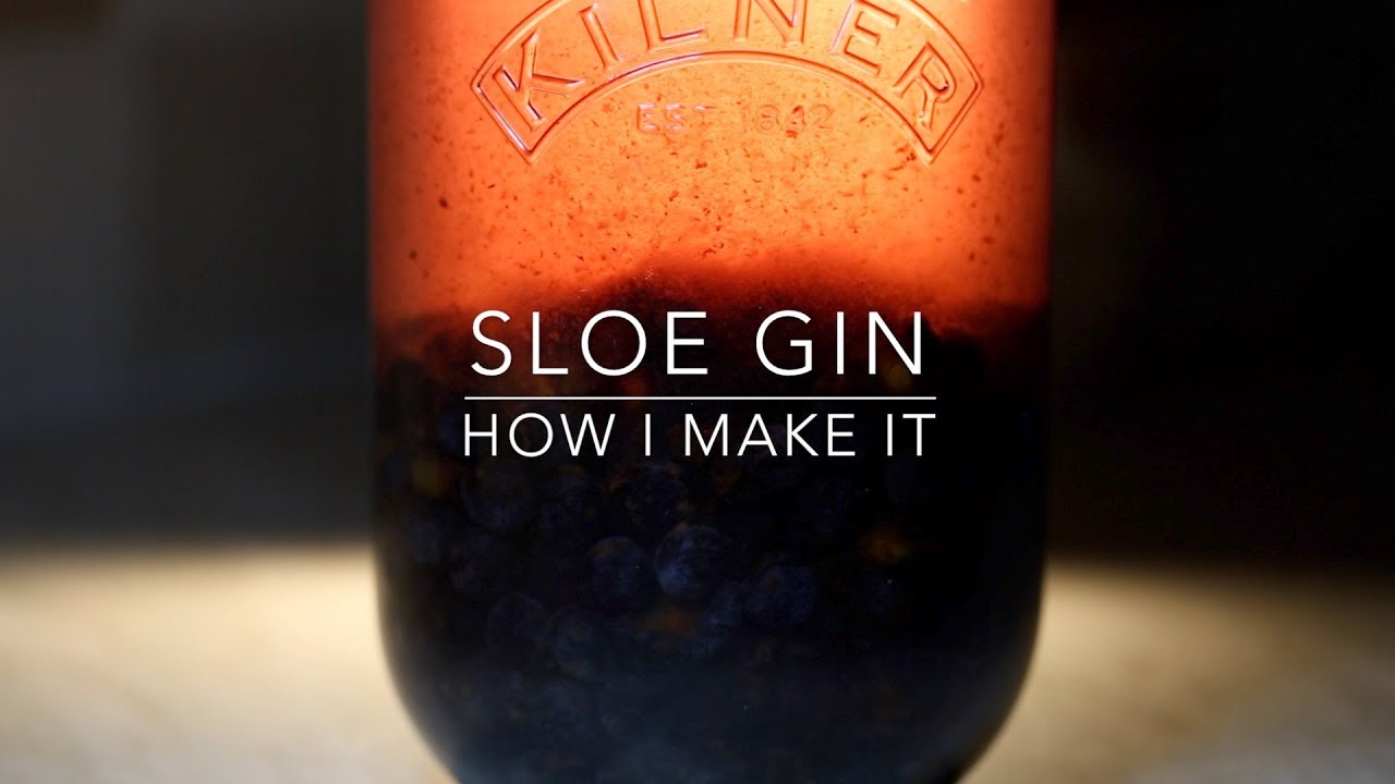 Easy Method To Make Sloe Gin At Home | Foraging To Drinking