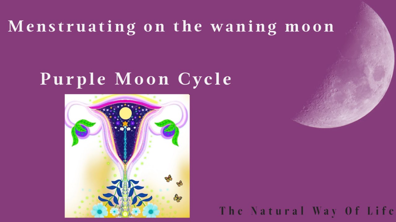 Menstruating On The Waning Moon | Purple Moon Cycle | #menstruation #period #mooncycles #lunarcycle