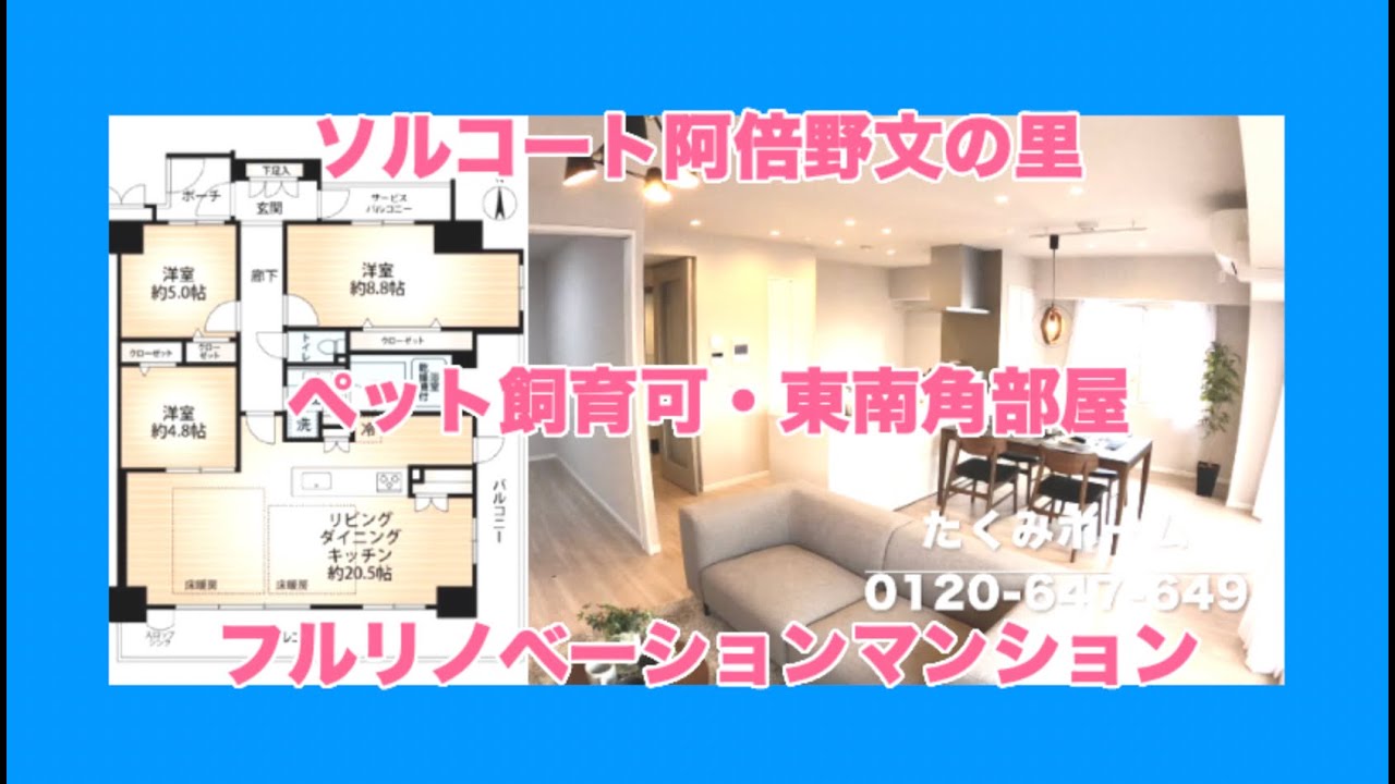 【売約済】ソルコート阿倍野文の里  リノベーションマンションハンター！たくみホーム