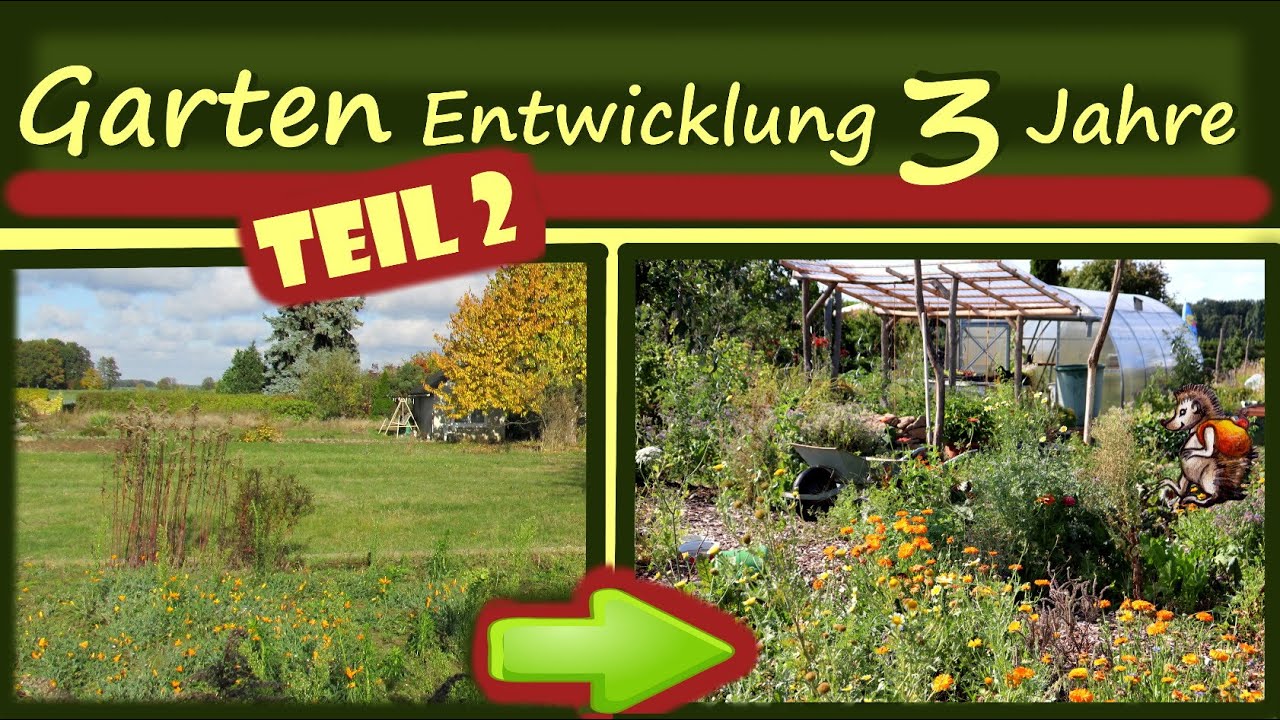 Garten Entwicklung in 3 Jahren Teil 2 │ Garten anlegen │ Verlosung