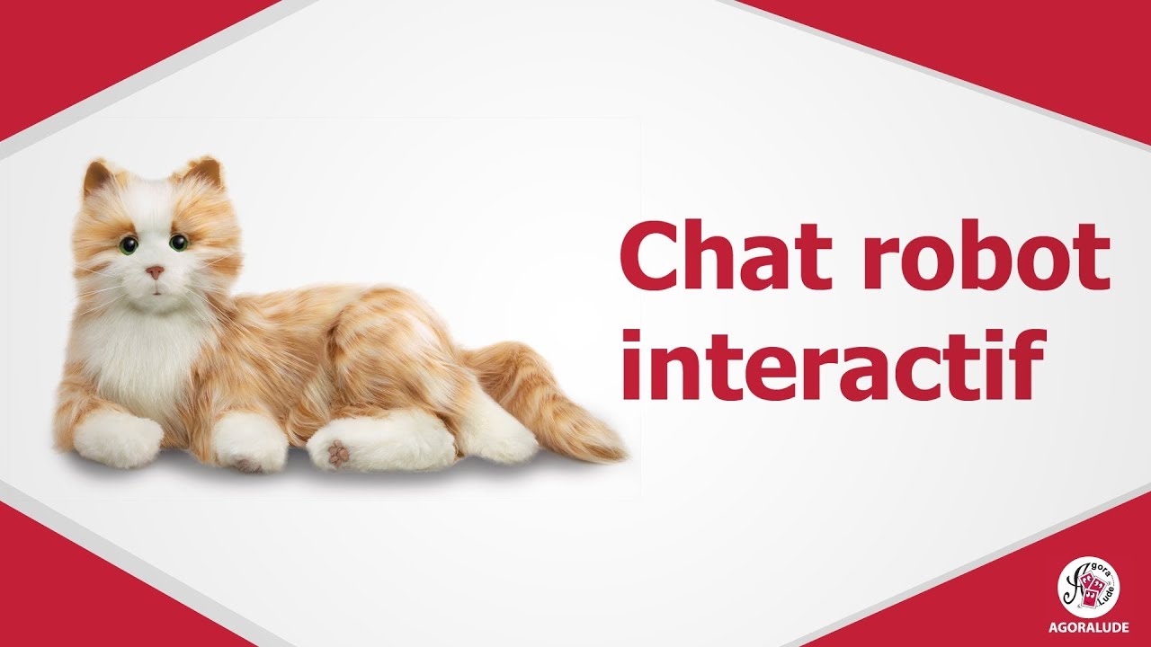 Chat robot interactif - Peluche d'empathie transitionnelle pour personnes âgées