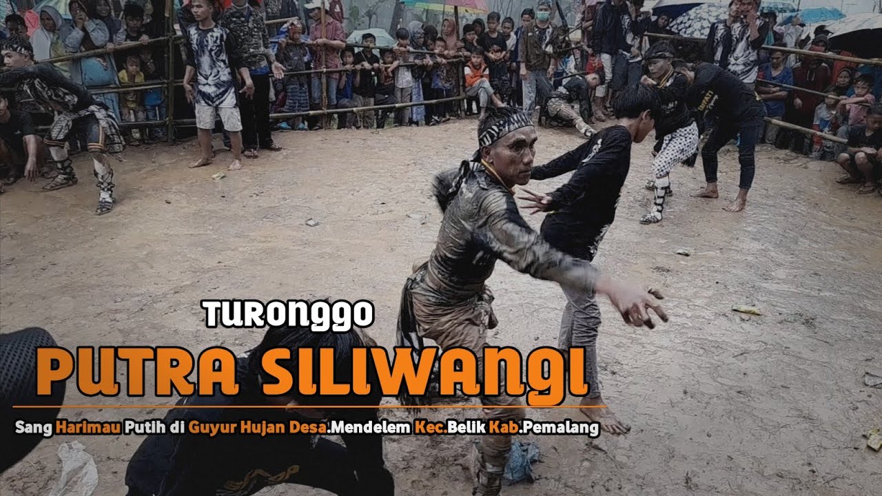 Sang Harimau Putih di guyur Hujan TURONGGO PUTRA SILIWANGI Des.Mendelem Belik Pemalang | Jathilan