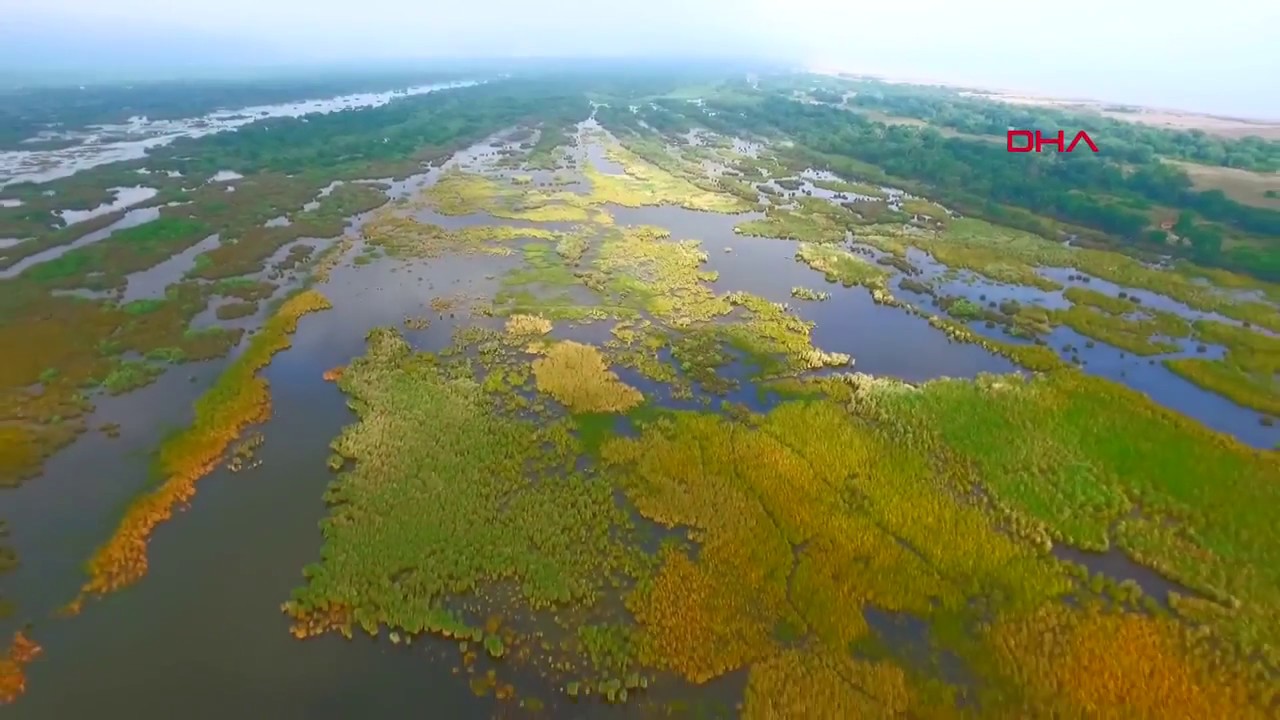 El Pantano de Karacabey y el Delta de Koca&ccedil;ay: un para&iacute;so oculto en Turqu&iacute;a