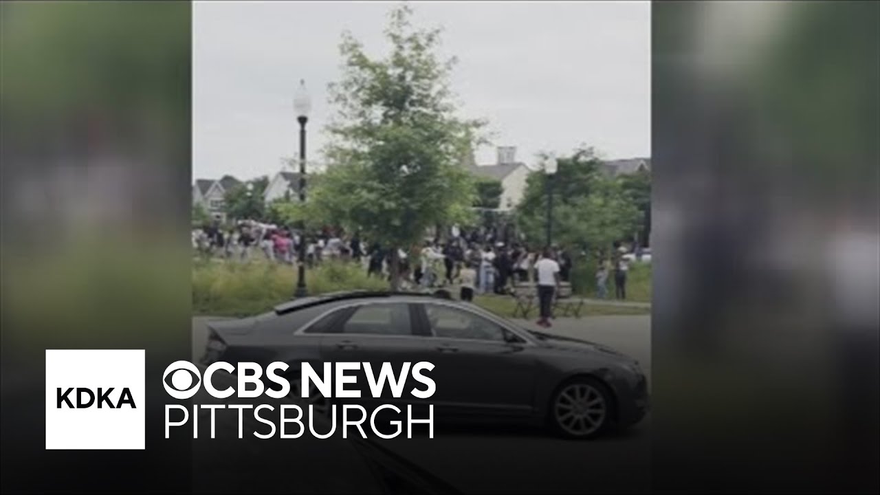Police use pepper spray after more than 400 teenagers swarm Pittsburgh park