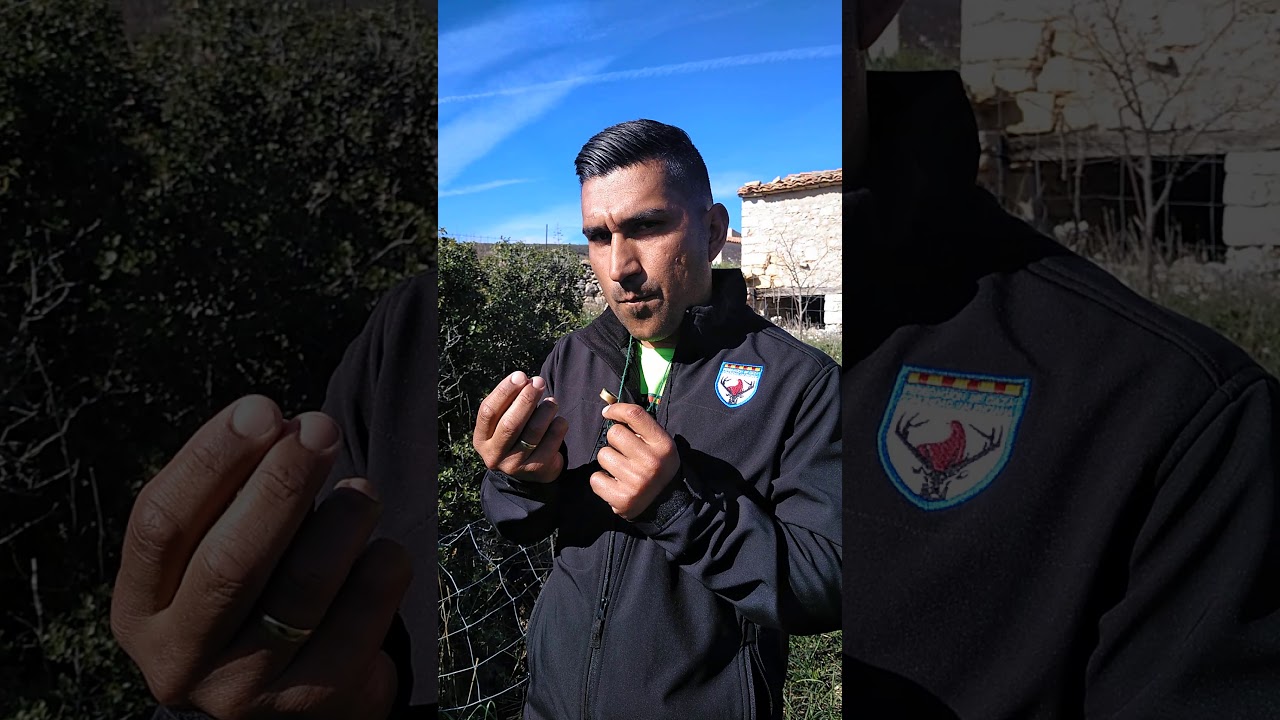 Como tocar el reclamo bucal para el zorzal comun 3