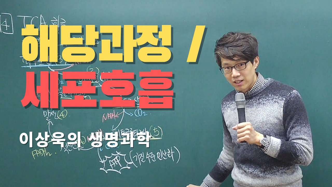 해당과정 /이상욱의 생명과학/ 세포호흡