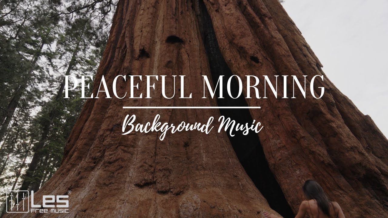Peaceful Morning : Acoustic Indie Peaceful Summer Background Music