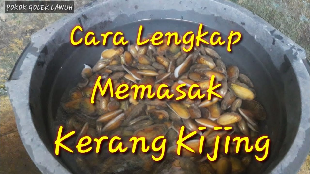 Cara Memasak Kerang Kijing Agar Tidak Alot