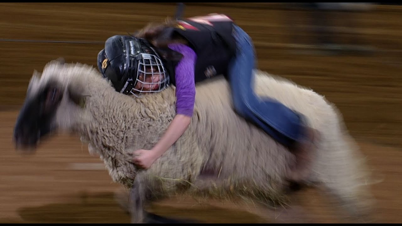 Mutton Bustin' highlights | San Antonio Rodeo | Feb. 23, 2022