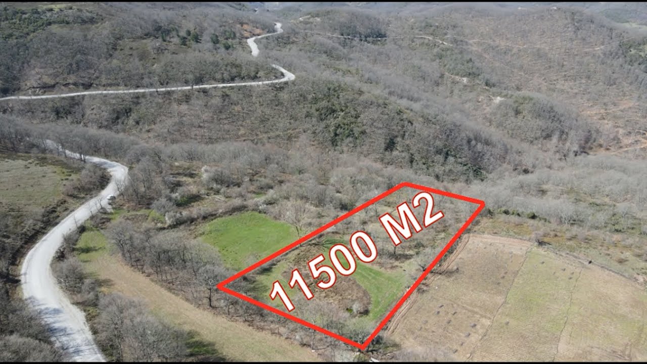 (SATILDI )GÖNENE ALACAOLUK'TA ORMAN MANZARALI İÇERİSİNDE SU KAYNAĞI BULUNAN 11500 M2 TARLA