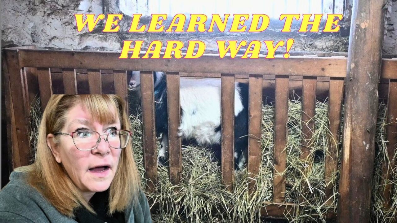 The HARDEST Lesson WE Had To LEARN On Our FARM!