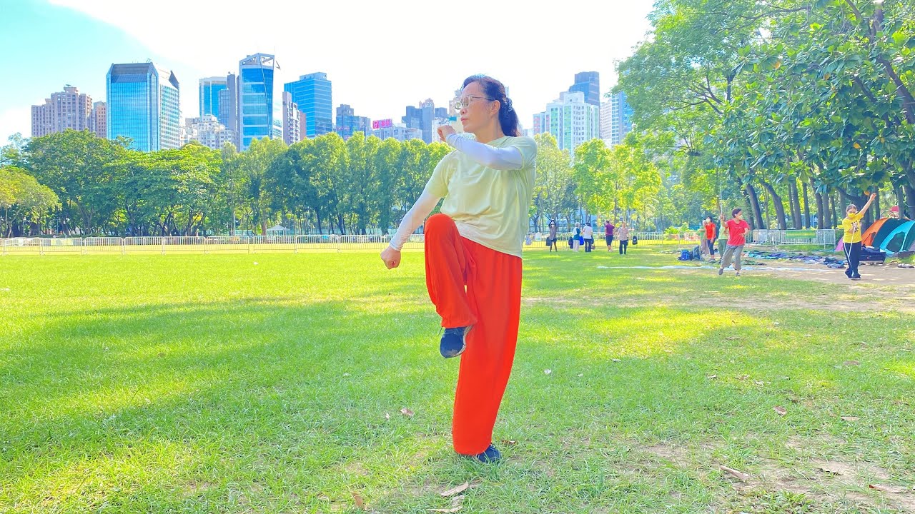Sifu Tsui Tin Ying徐鈿英師傅 武當十八式慢練，前面示範。￼