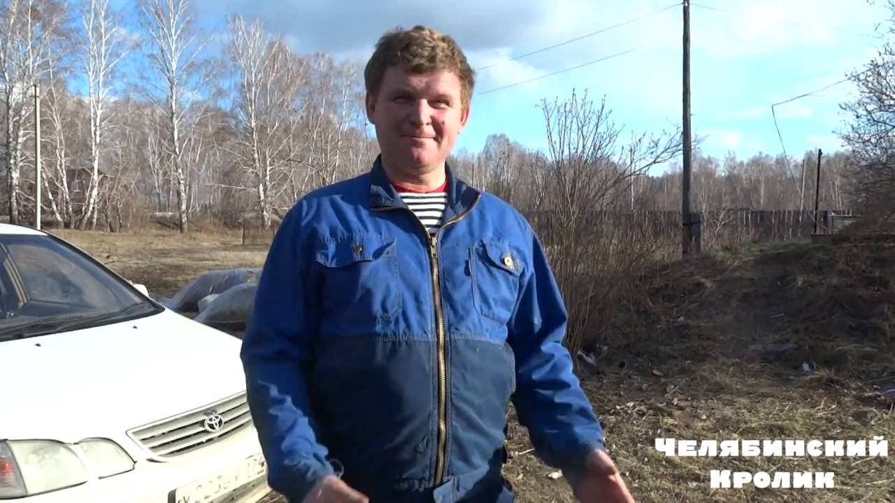 Ямное содержание кроликов #2 | Вопросы и ответы