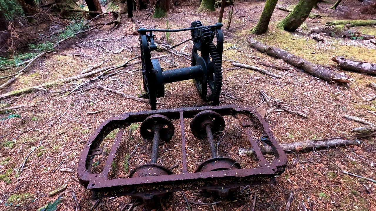 Goulds Landing - Forestry House Ruins & Goulds Track - Gordon River
