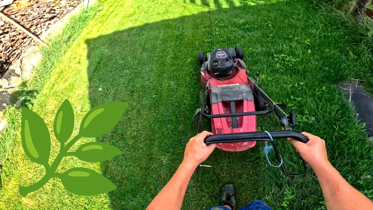 POV: Satisfying Lawn Mowing with GoPro | Overgrown Grass Transformation