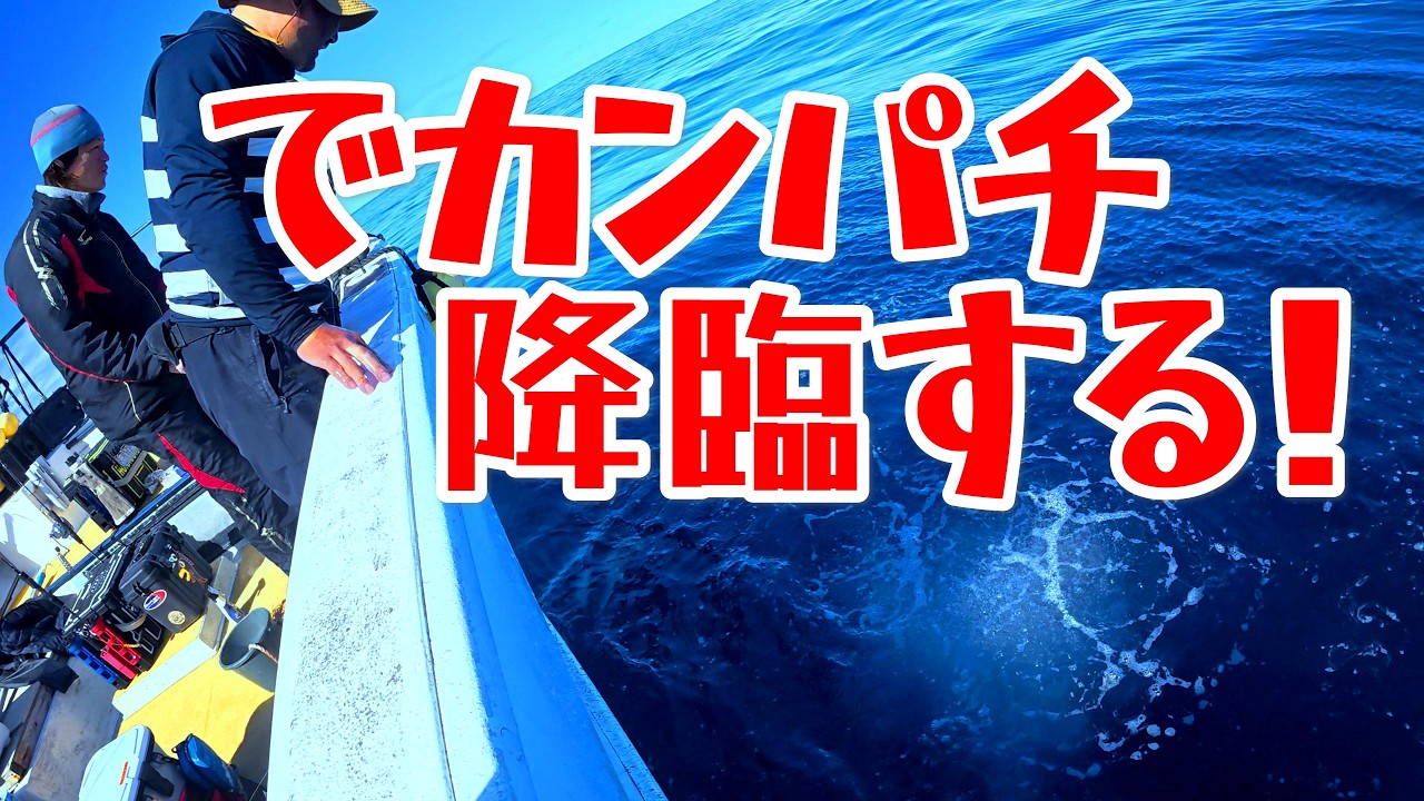 でカンパチ降臨する！【４Ｋ】