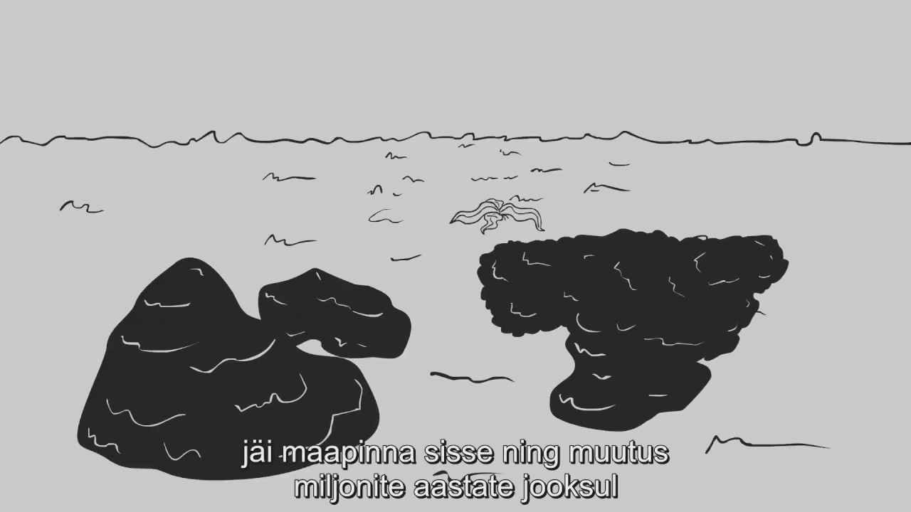 Mis värk selle süsinikuga on?