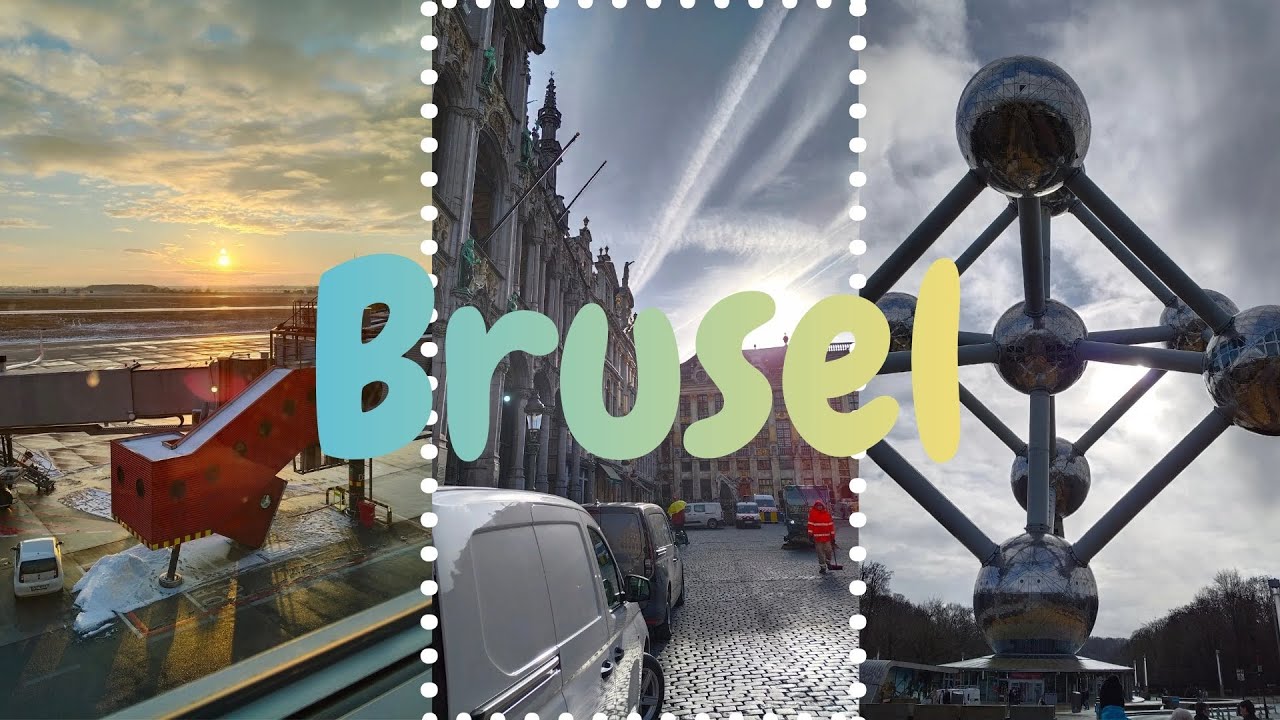 Návštěva Bruselu / Visit of Brussels