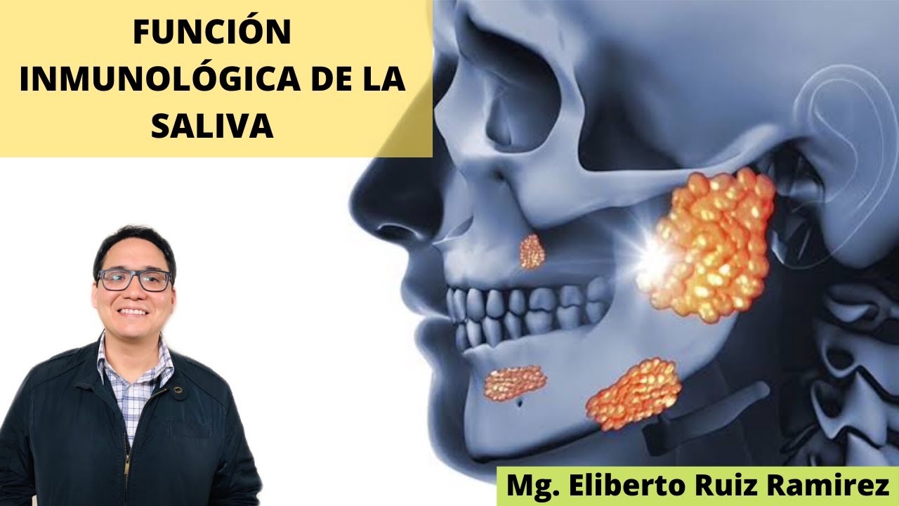 FUNCIÓN INMUNOLÓGICA DE LA SALIVA - Eliberto Ruiz Ramirez